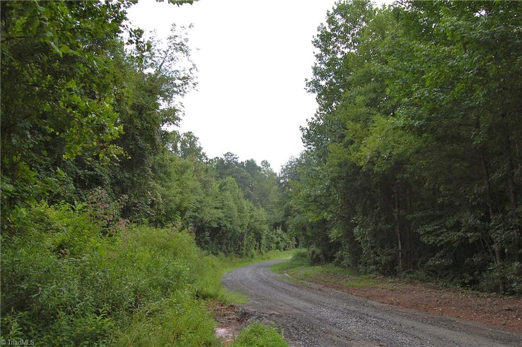 1000 Miller Road Walnut Cove, NC 27052 - Photo 5 of 15 Gallery Image 5