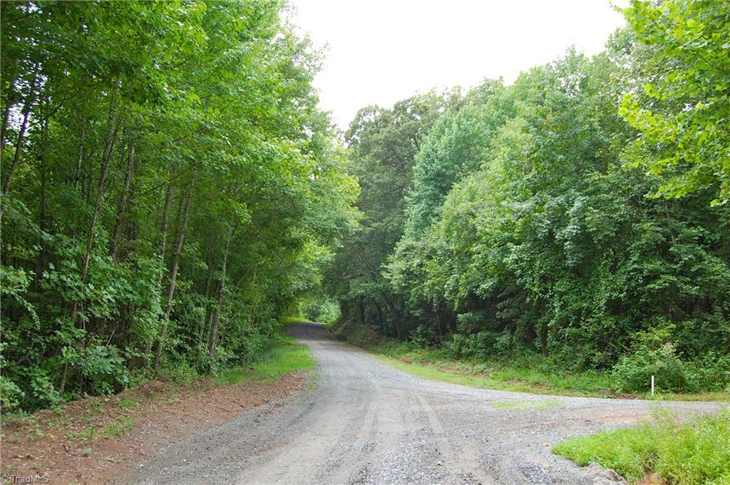 1000 Miller Road Walnut Cove, NC 27052 - Photo 6 of 15 Gallery Image 6