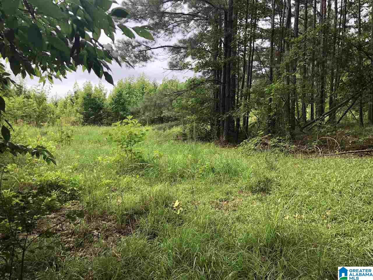 0 Maple Crest Lane Hayden, AL 35079 - Photo 25 of 30