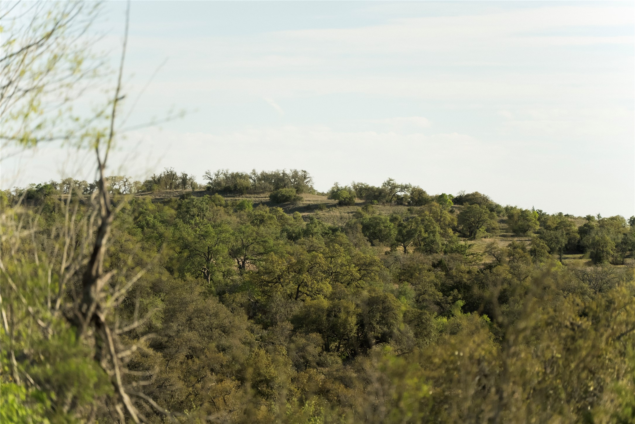 157 Chick Ranch Road Blanco, TX 78606 - Photo 13 of 34 a view of a city with lush green forest