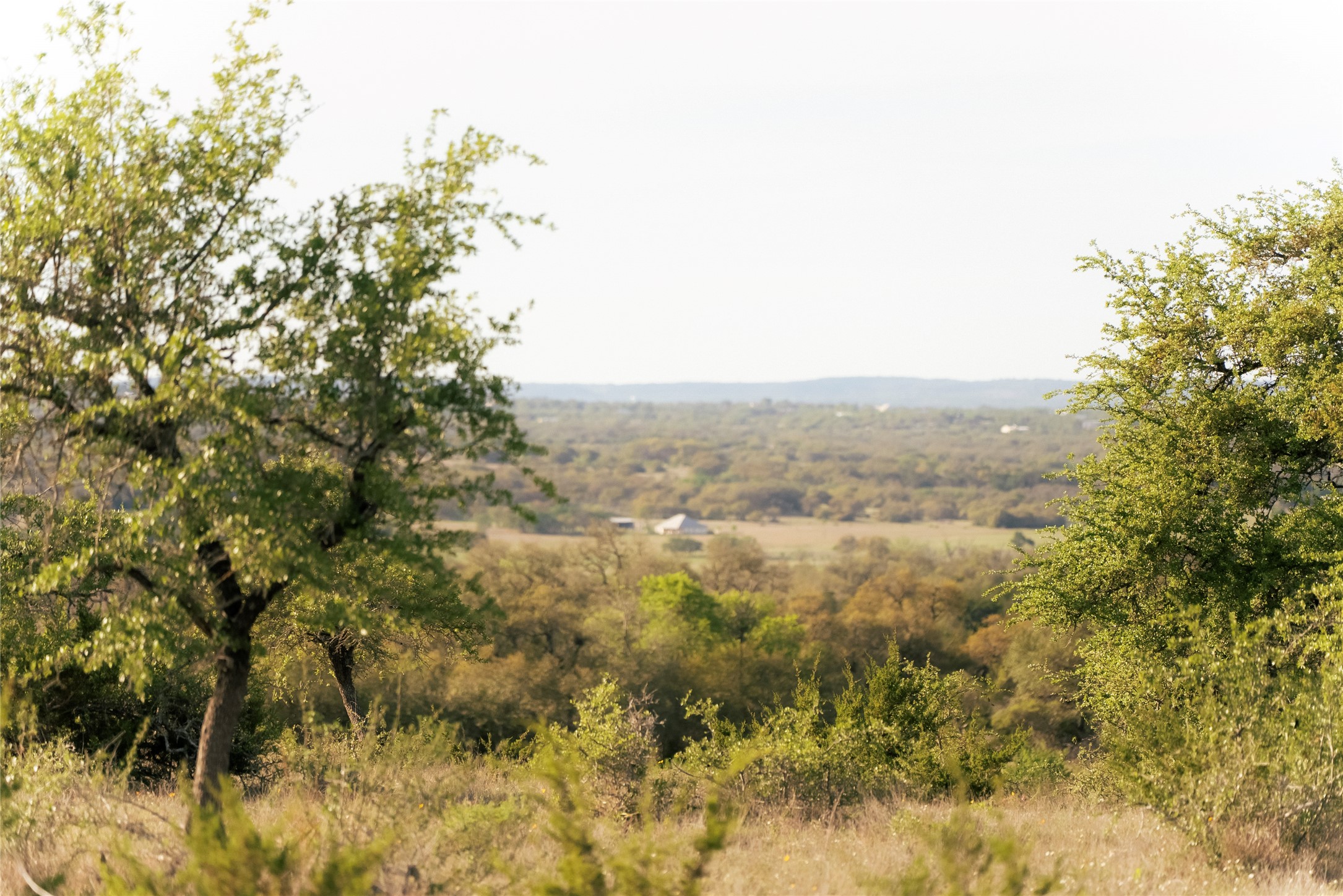 157 Chick Ranch Road Blanco, TX 78606 - Photo 15 of 34