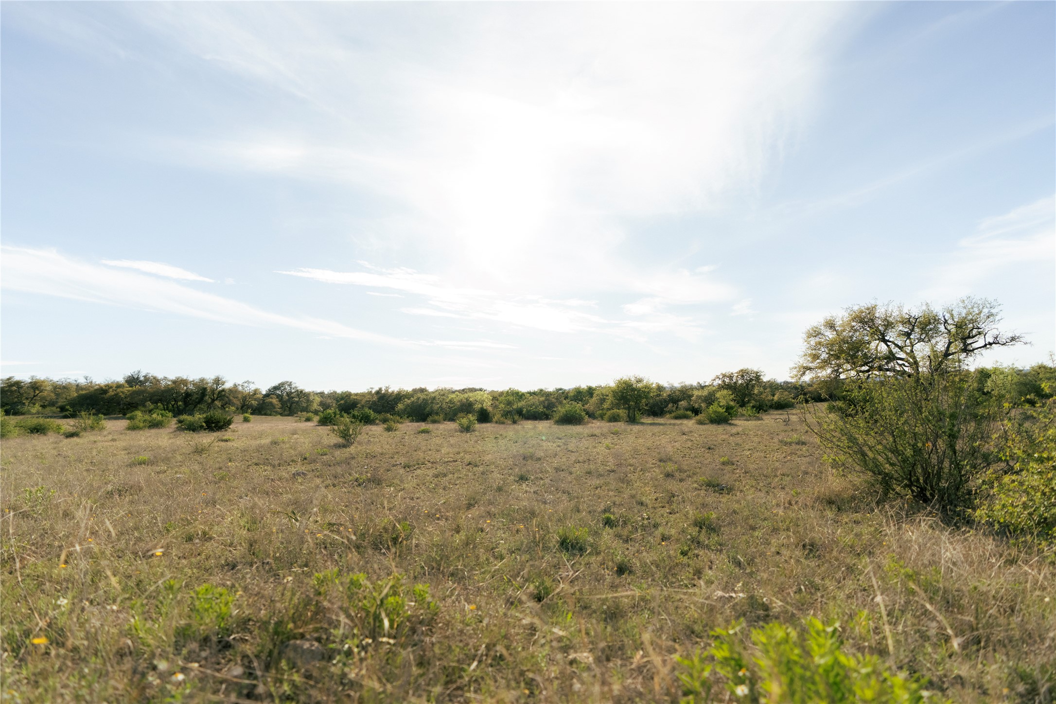 157 Chick Ranch Road Blanco, TX 78606 - Photo 23 of 34 a view of lake view and mountain view