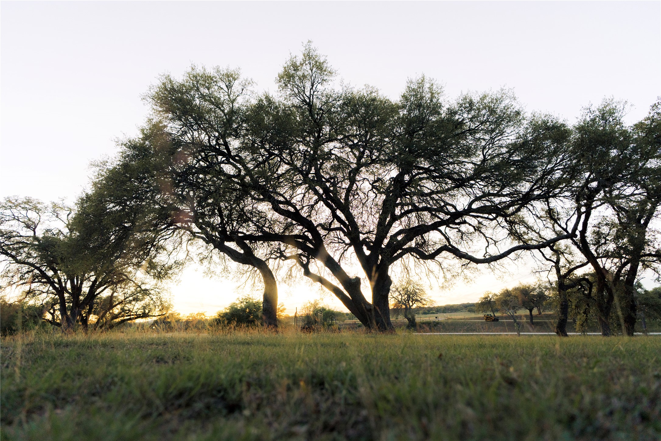 157 Chick Ranch Road Blanco, TX 78606 - Photo 8 of 34 a view of a field with a tree in the background