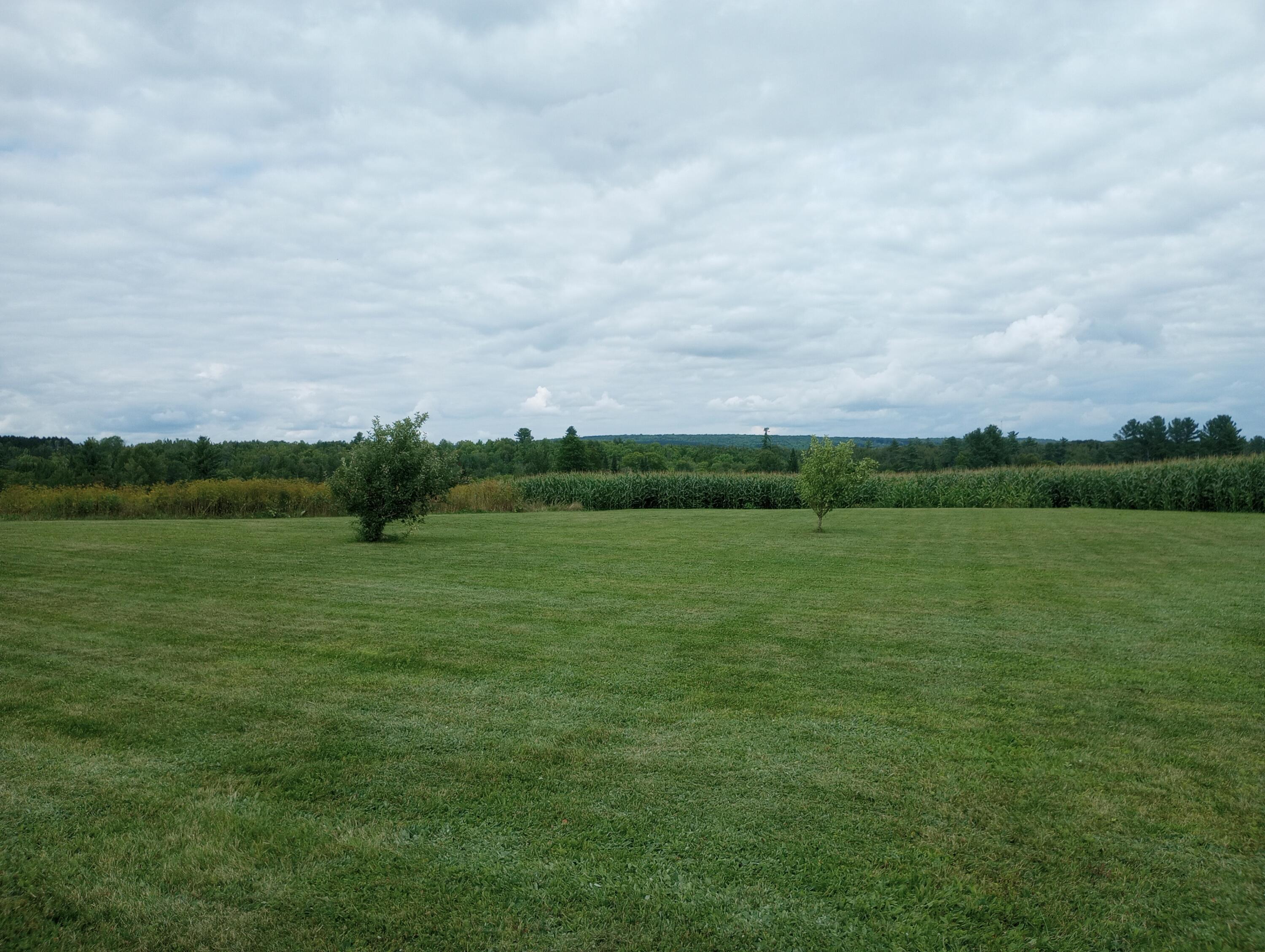 1671 County Road New Limerick, ME 04761 - Photo 26 of 56 IMG_20220811_151308256
