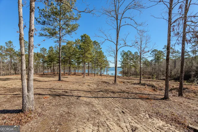 $1,075,000 | 1063 Fleming Lake, Lincolnton, GA 30817