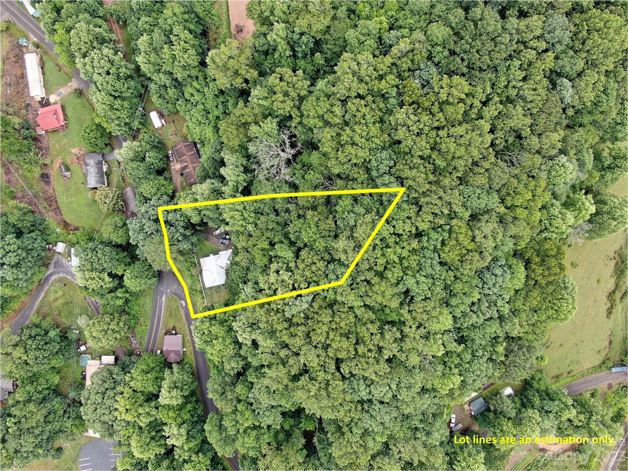 412 Dix Creek Road Canton, NC 28716 - Photo 3 of 37