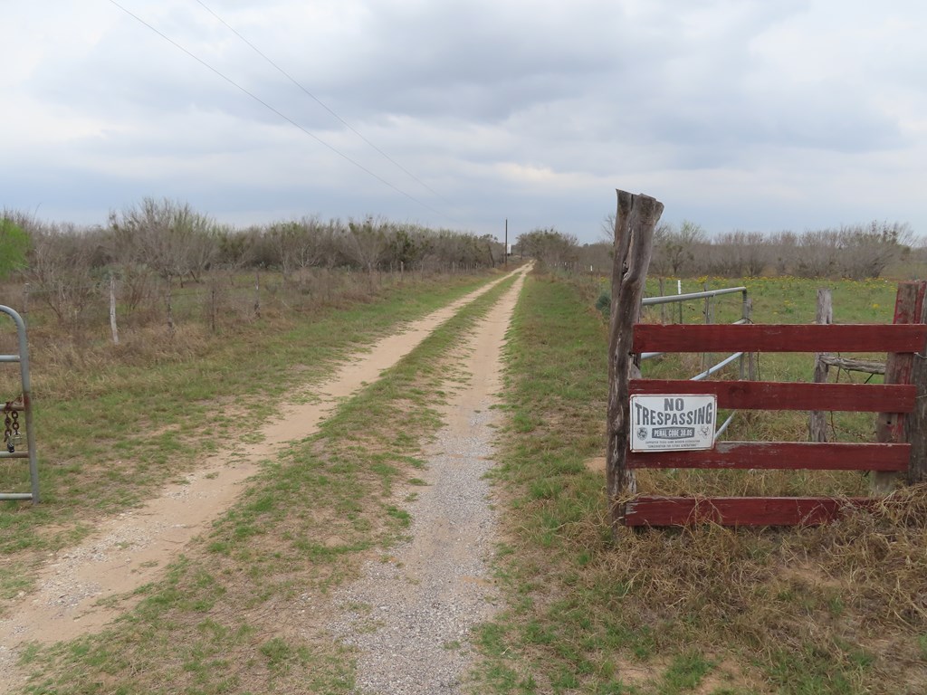 678 Tank Hollow Poteet, TX 78065 - Photo 11 of 24