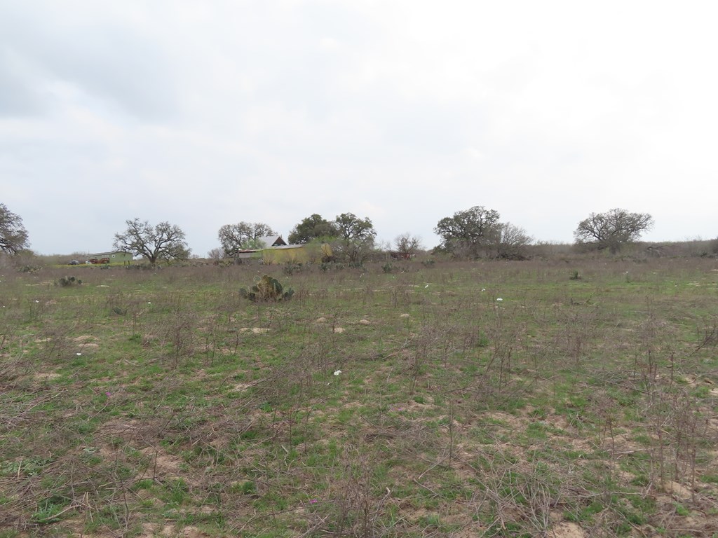 678 Tank Hollow Poteet, TX 78065 - Photo 16 of 24 Back Pasture