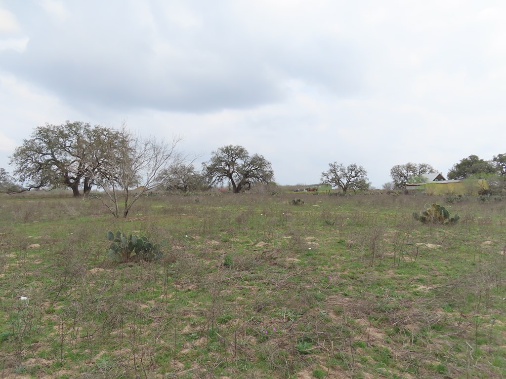 678 Tank Hollow Poteet, TX 78065 - Photo 17 of 24 Back Pasture