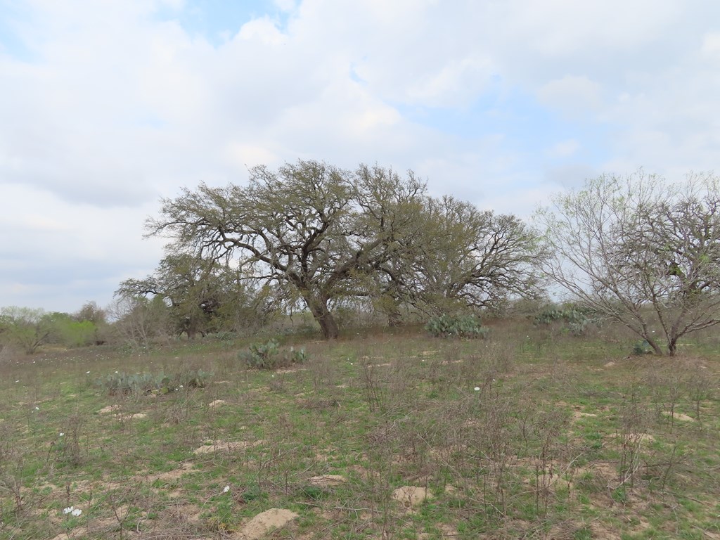 678 Tank Hollow Poteet, TX 78065 - Photo 18 of 24 Back Pasture