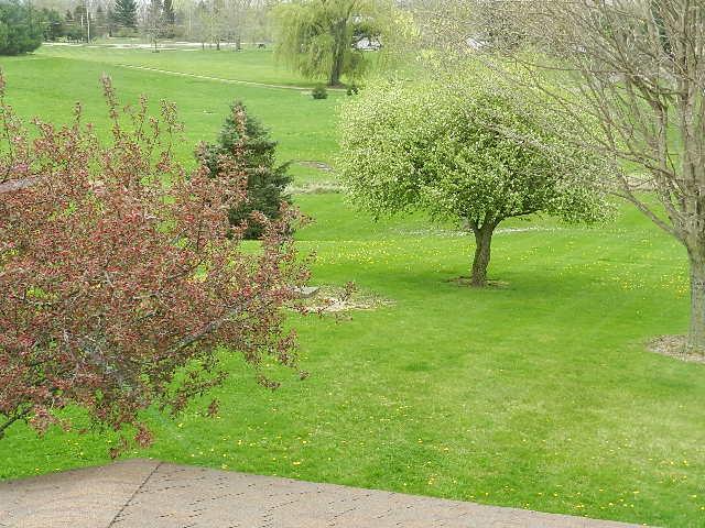 4047 Larue-Prospect Road South Prospect, OH 43342 - Photo 34 of 48 Gallery Image 34