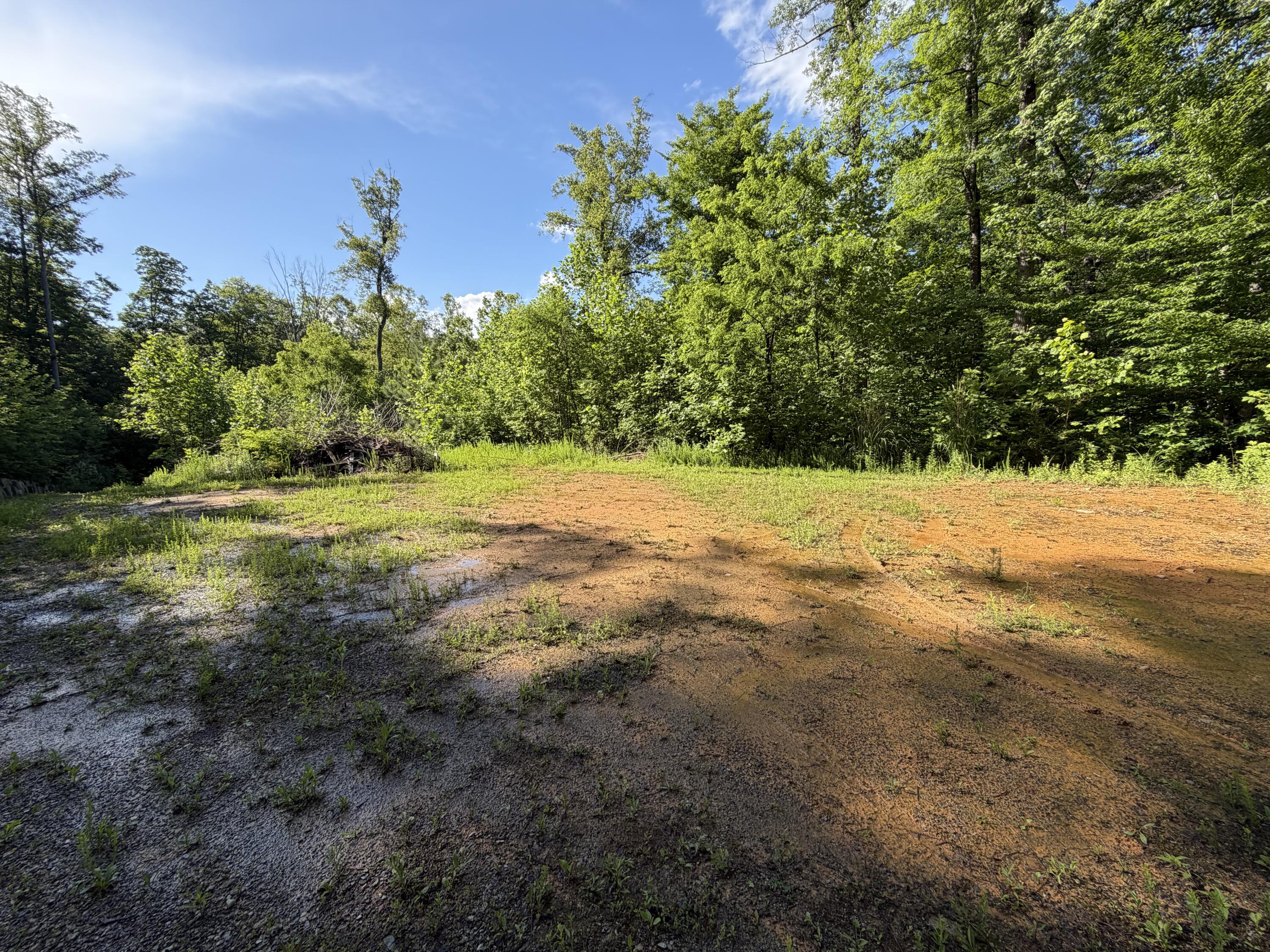 0 Lake Road Troutville, VA 24175 - Photo 7 of 18 a view of outdoor space with trees all around