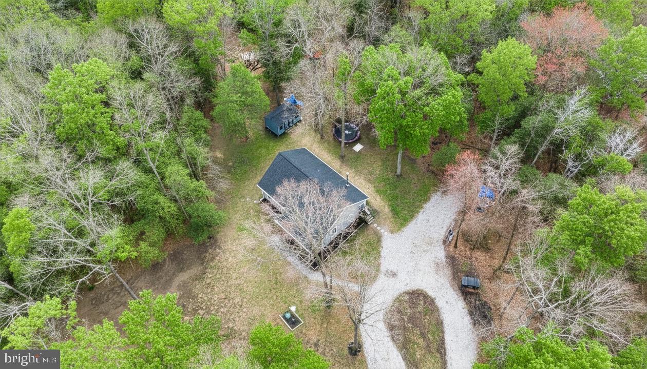 25095 Trunk Line Road Henderson, MD 21640 - Photo 1 of 39 Secluded retreat amidst lush greenery.