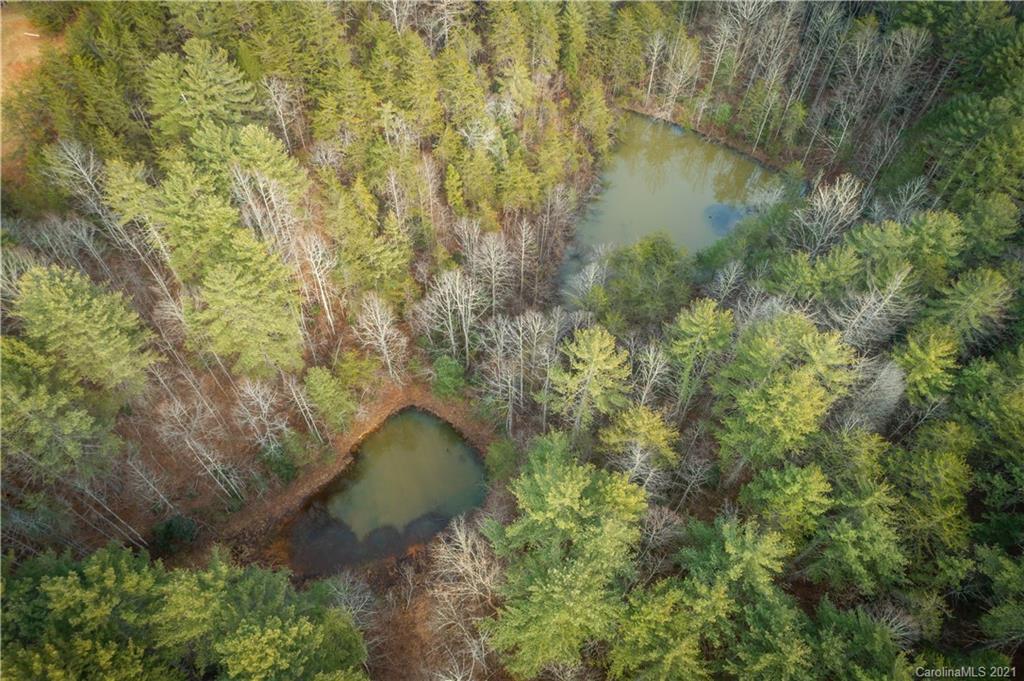 4488 Pax Hill Road Morganton, NC 28655 - Photo 38 of 42 Gallery Image 38