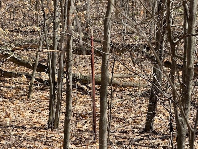 00 North Turnerville Road Lake City, MI 49651 - Photo 2 of 9