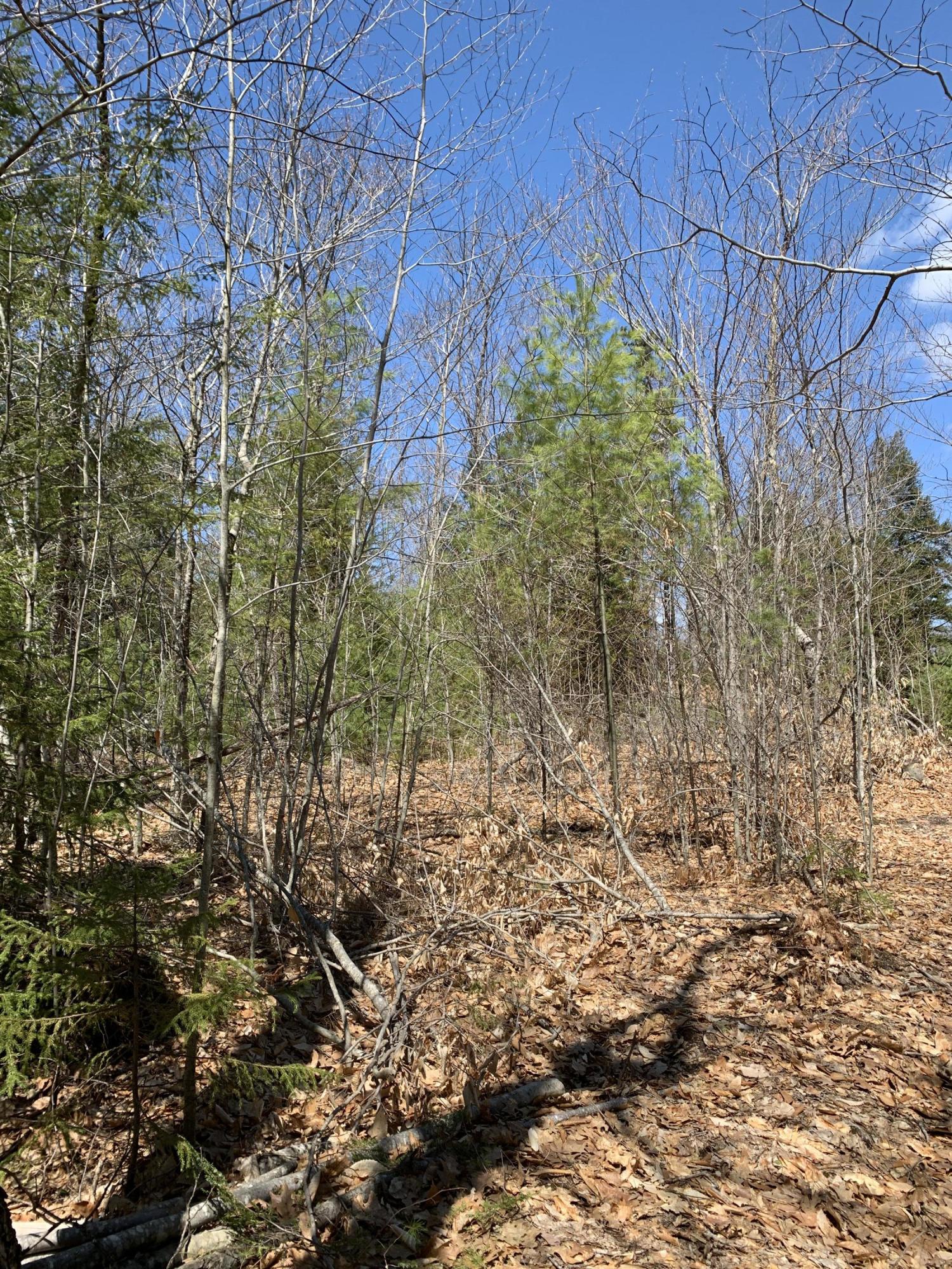 Lot 97 Frost Farm Road Bridgton, ME 04009 - Photo 5 of 6 ADA1591A-E1B0-4DAE-AD46-8001B2F90CC0