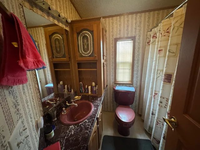 a bathroom with a toilet sink and shower curtain