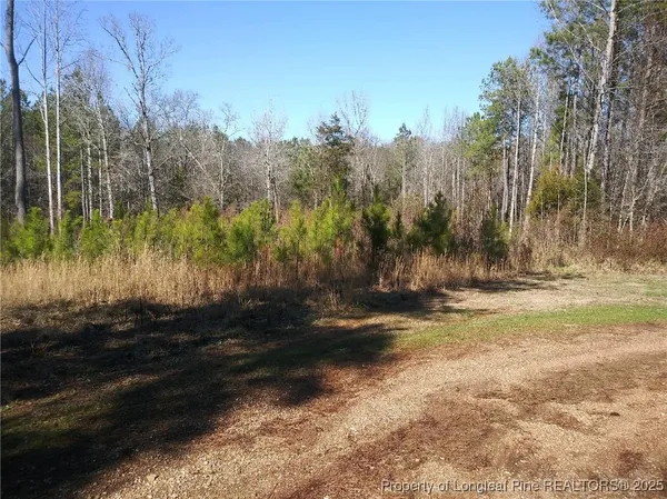 $40,000 | Tbd Hemp Street, Robbins, NC 27325