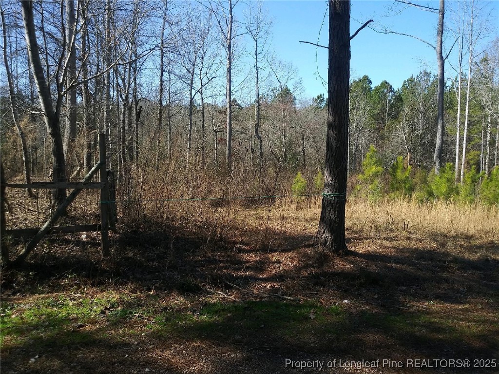 Tbd Hemp Street Robbins, NC 27325 - Photo 5 of 5 a view of a yard with large trees