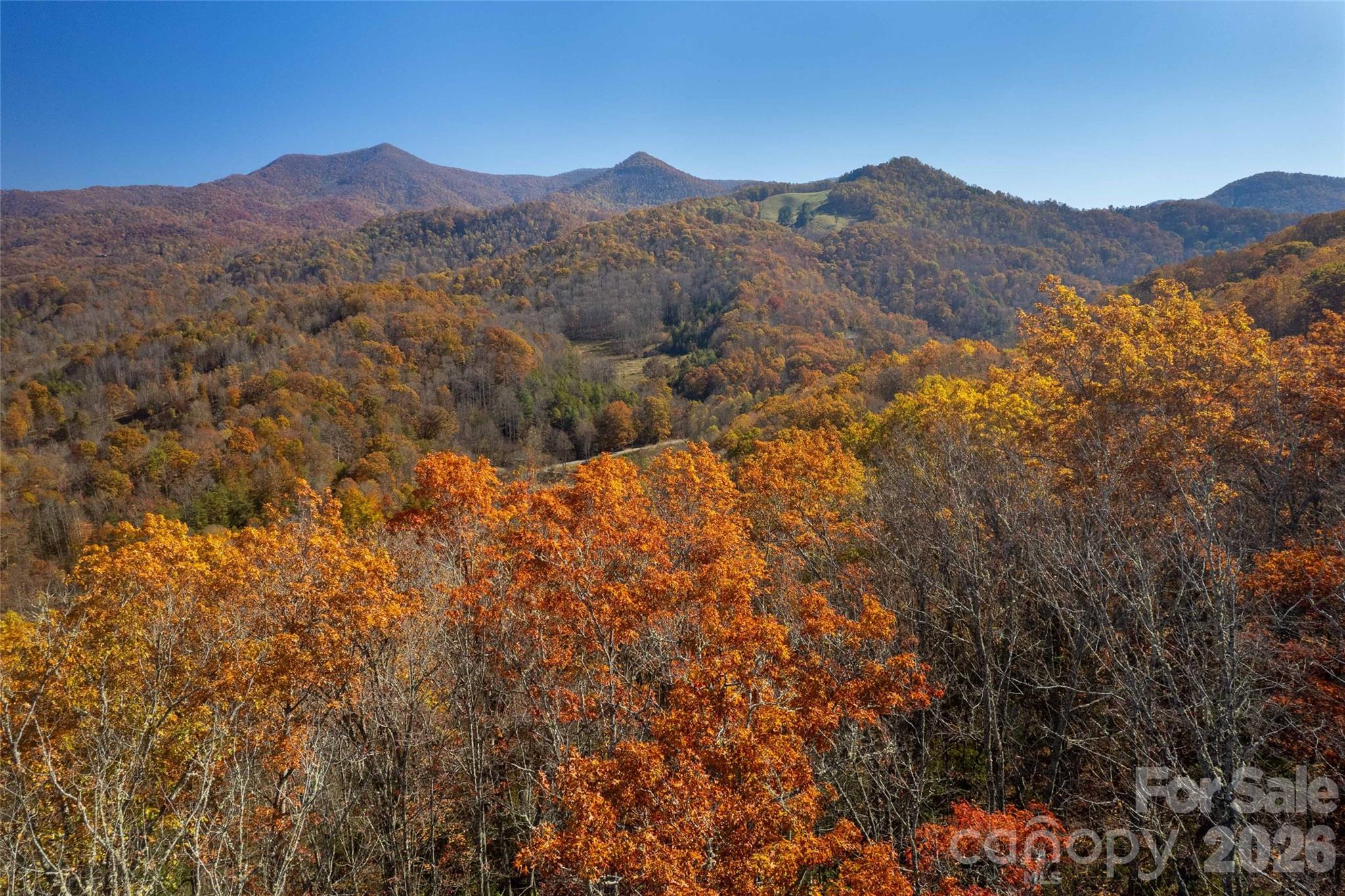 5 Copperhead Cove Road Sylva, NC 28779 - Photo 2 of 27