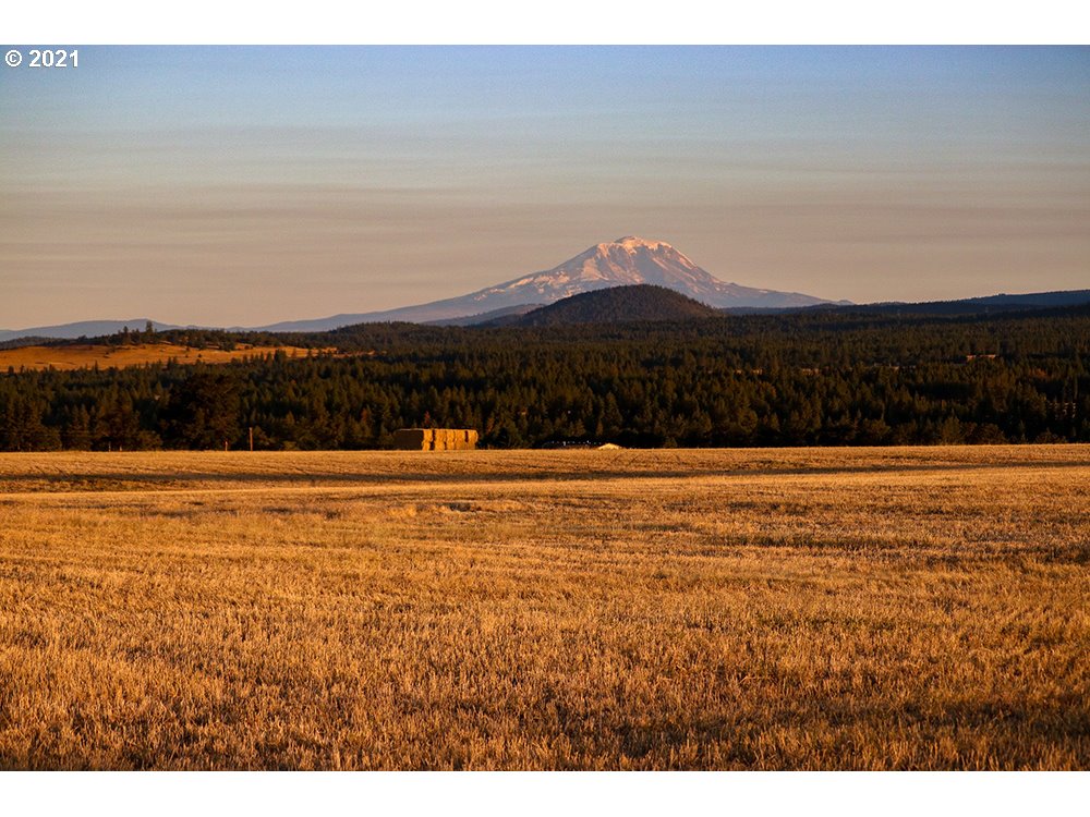 Rimrock Road Goldendale, WA 98620 - Photo 2 of 6 Gallery Image 2