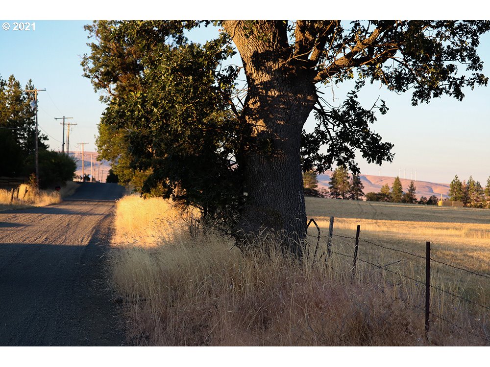 Rimrock Road Goldendale, WA 98620 - Photo 6 of 6 Gallery Image 6