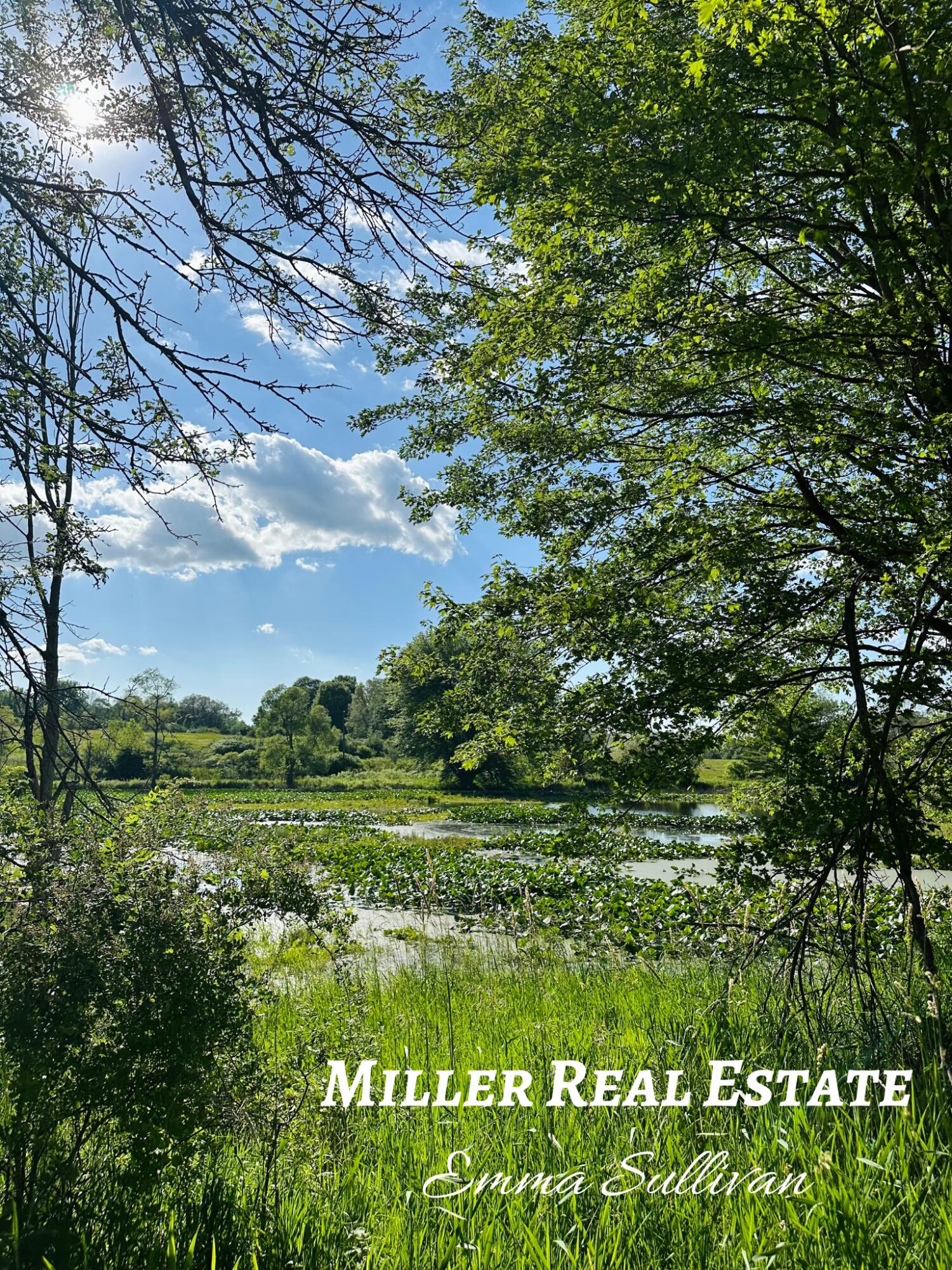 Parcel A West Pifer Road Delton, MI 49046 - Photo 1 of 8 View of Pond