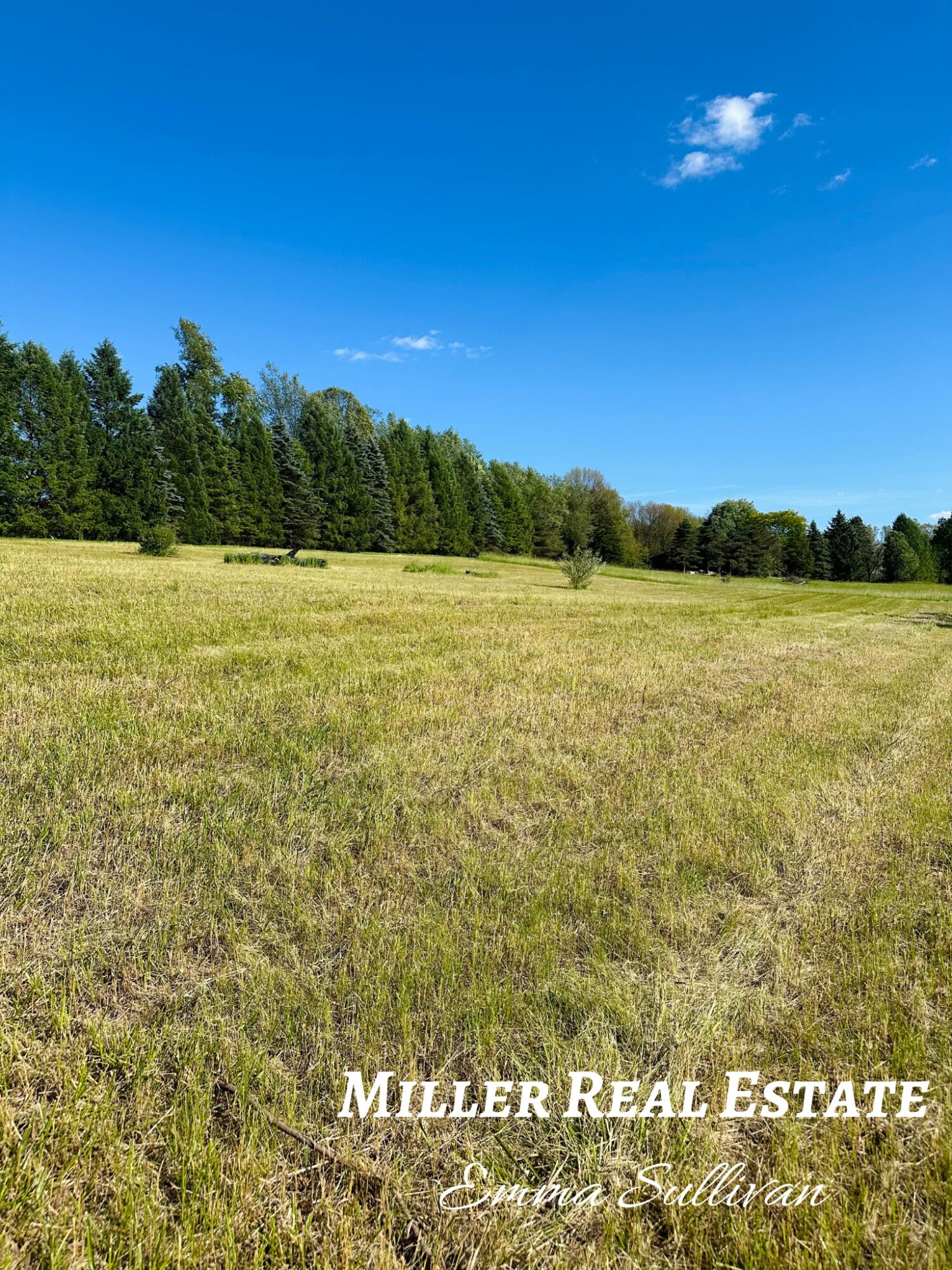 Parcel A West Pifer Road Delton, MI 49046 - Photo 3 of 8 NW Corner