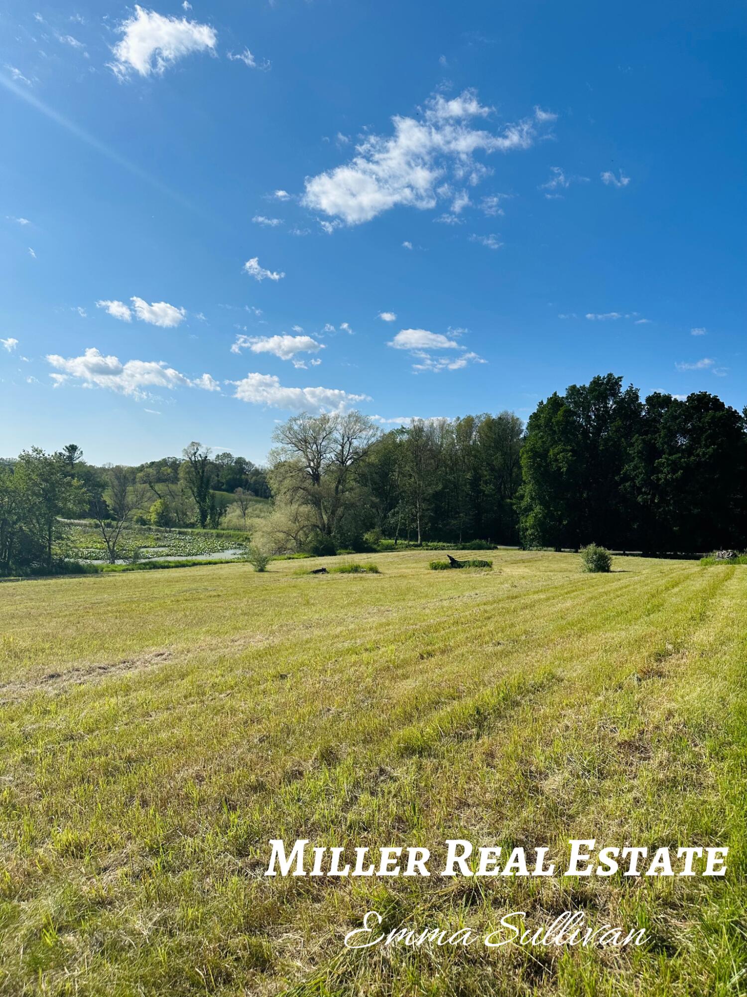 Parcel A West Pifer Road Delton, MI 49046 - Photo 5 of 8 SE Corner
