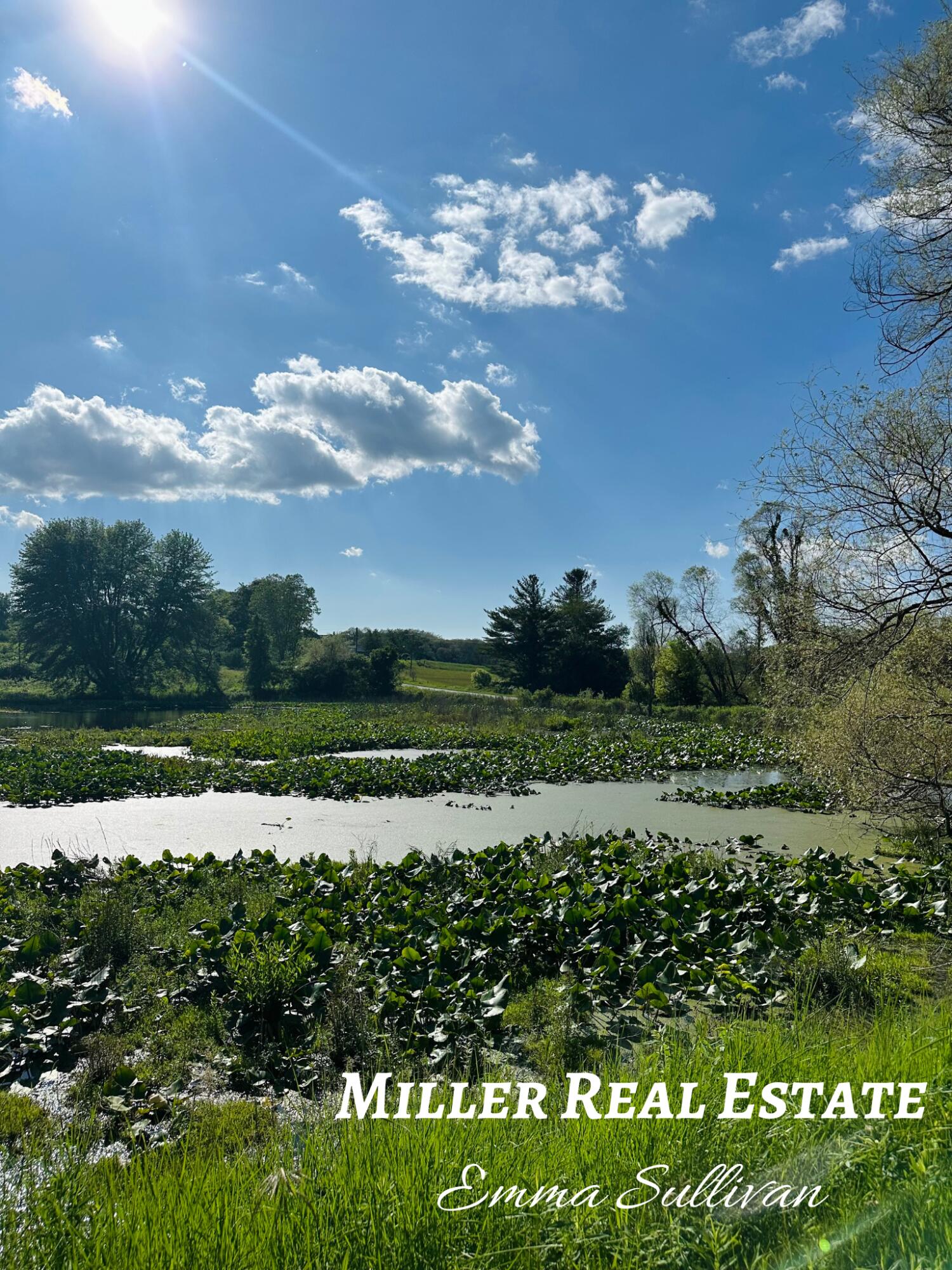 Parcel A West Pifer Road Delton, MI 49046 - Photo 6 of 8 View of Pond