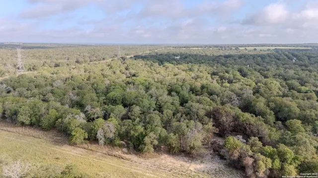 an aerial view of a forest
