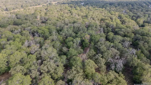 a view of a forest with an outdoor space