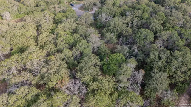 an aerial view of forest