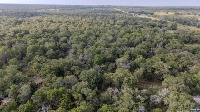 an aerial view of a houses with a lush green hillside