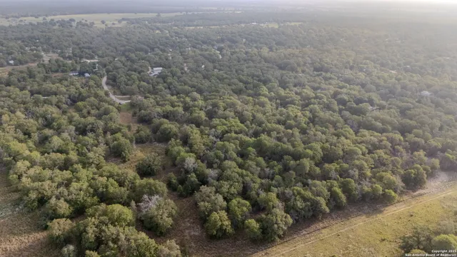 a picture of flowers