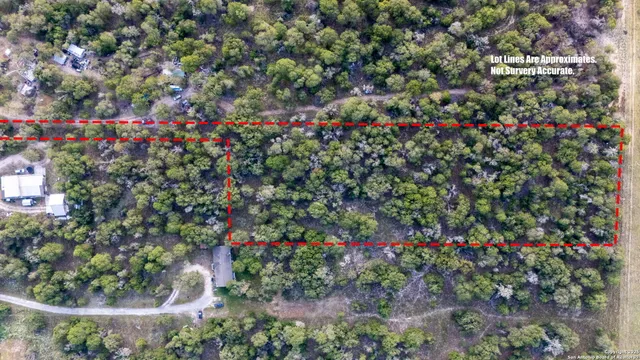 a view of a dry yard