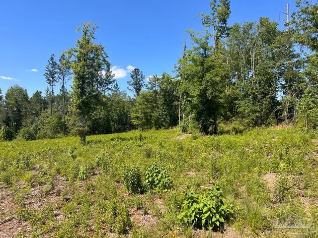 a view of a yard with an trees