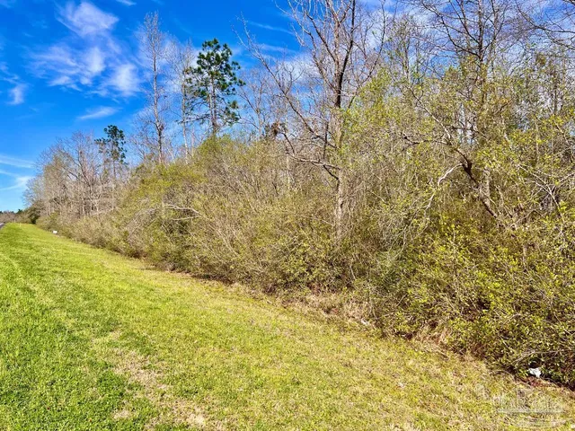 a view of a yard with a tree