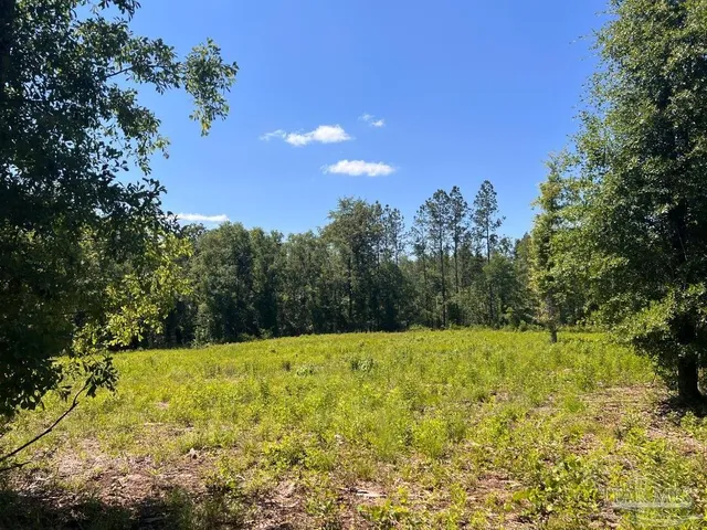 a view of swimming pool with a yard