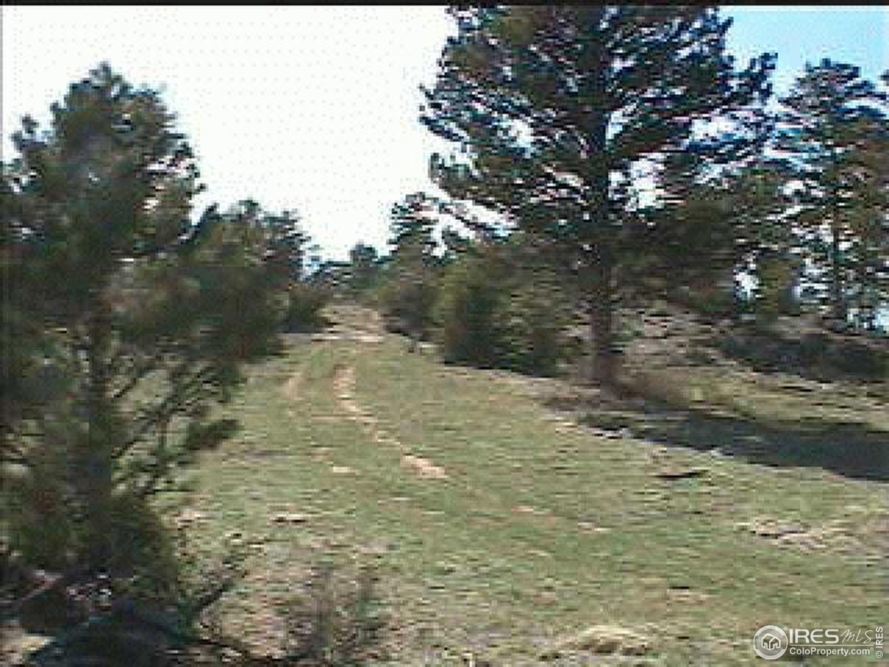 15 North Rim Road Livermore, CO 80536 - Photo 4 of 6 Gallery Image 4