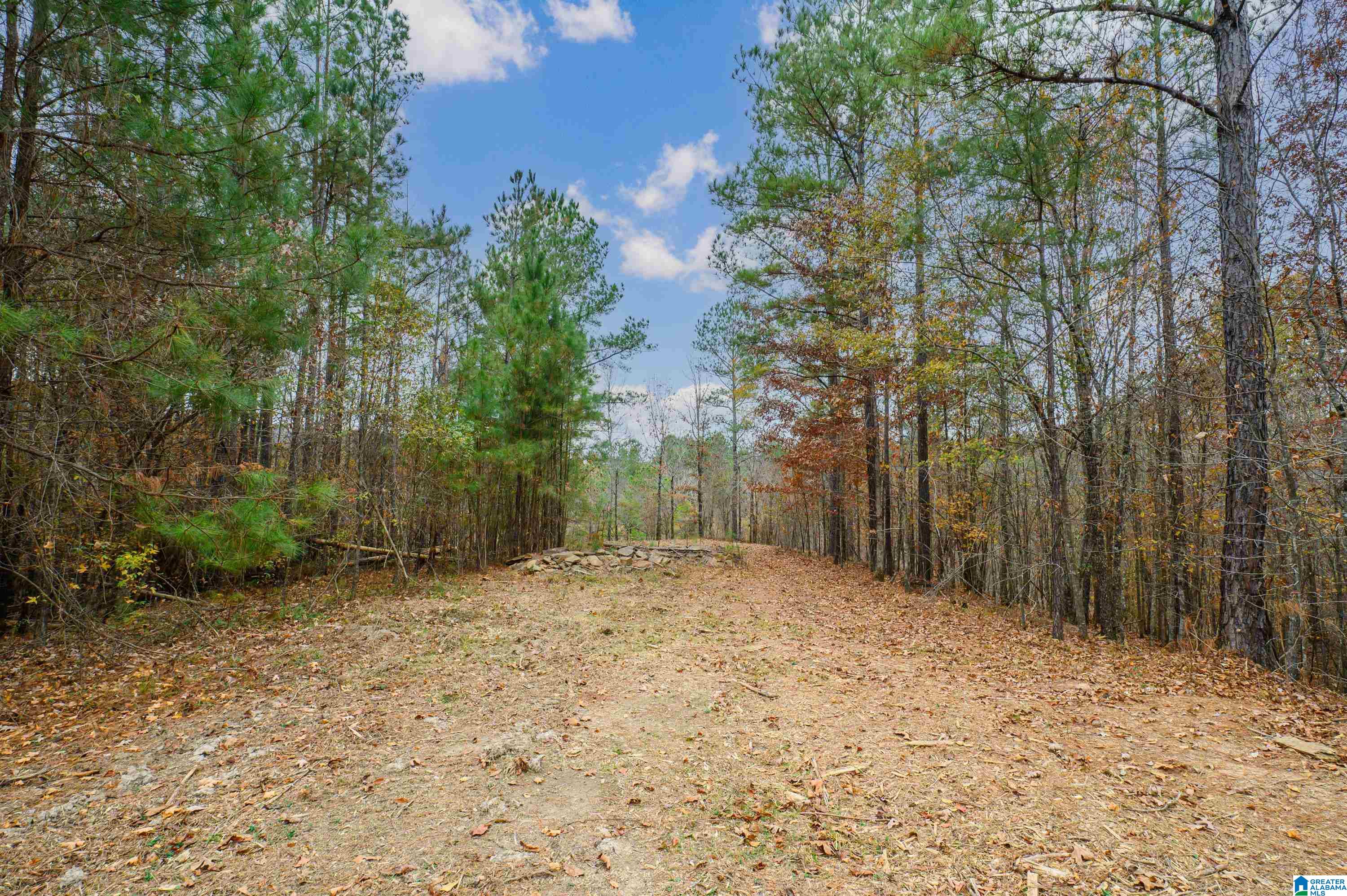 8799 Shades Fall Way, Unit 2 Bessemer, AL 35022 - Photo 20 of 45