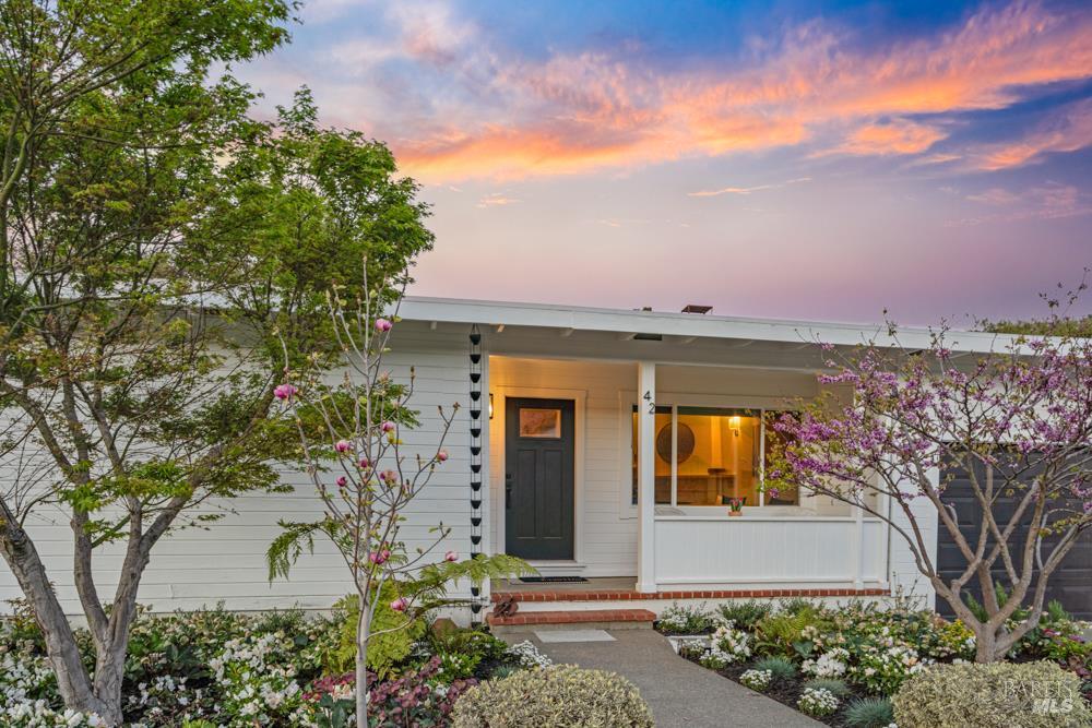 42 Billou Street San Rafael, CA 94901 - Photo 50 of 60