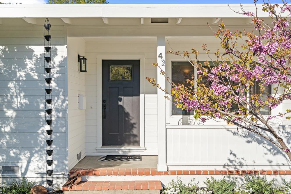 42 Billou Street San Rafael, CA 94901 - Photo 5 of 60
