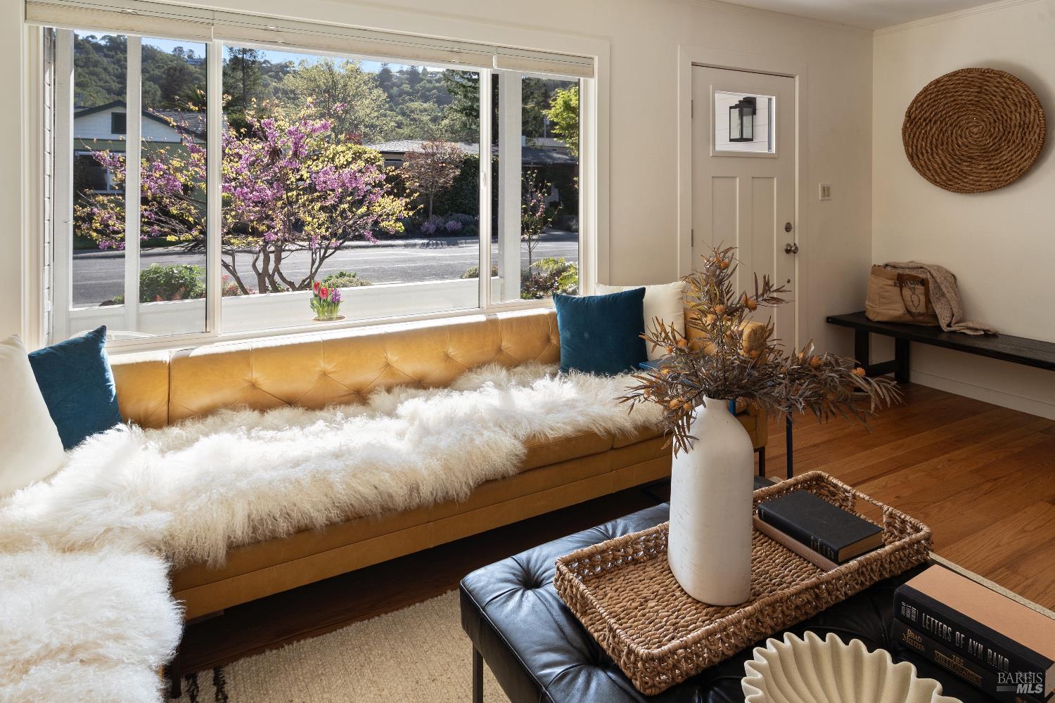 42 Billou Street San Rafael, CA 94901 - Photo 8 of 60