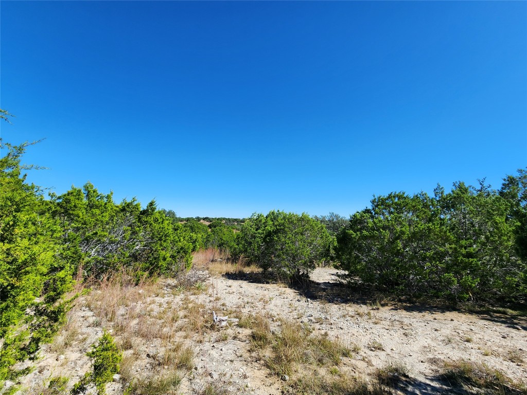 Lot 74 Bluff View Road Kempner, TX 76539 - Photo 12 of 37 a view of a yard with plants and tree