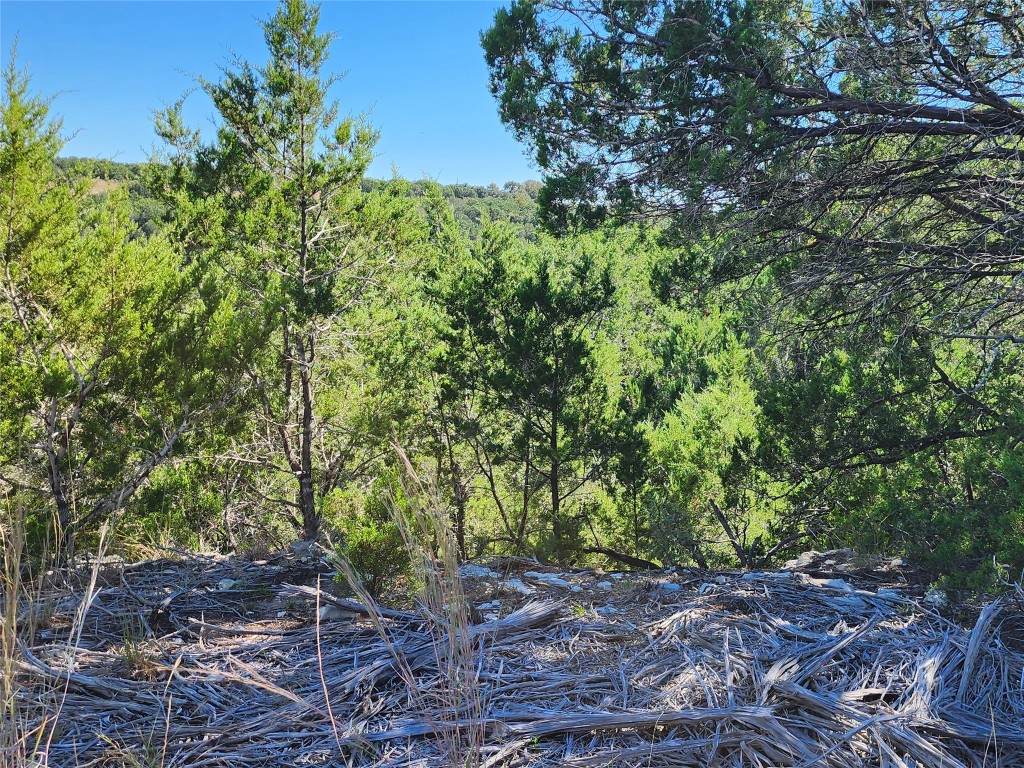 Lot 74 Bluff View Road Kempner, TX 76539 - Photo 14 of 37 a yard with a tree