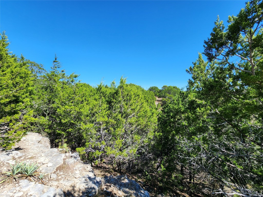 Lot 74 Bluff View Road Kempner, TX 76539 - Photo 17 of 37 a view of a large yard with lots of green space