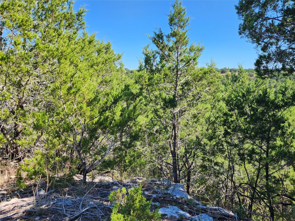 Lot 74 Bluff View Road Kempner, TX 76539 - Photo 20 of 37 a view of a garden