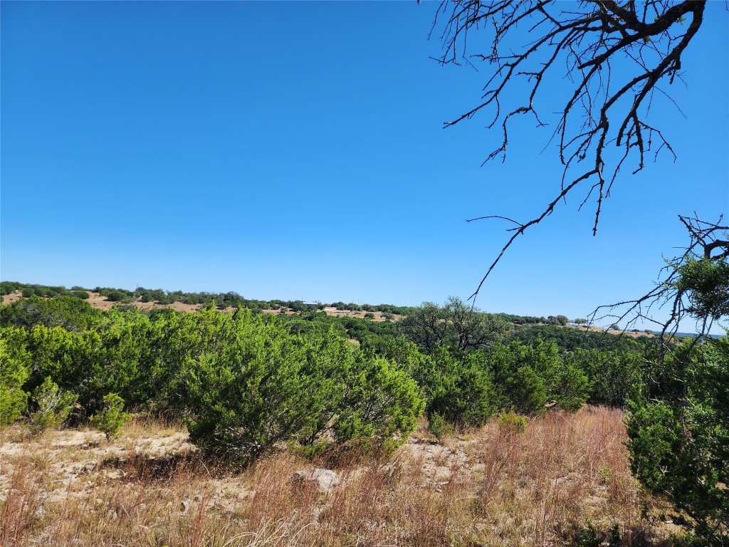 Lot 74 Bluff View Road Kempner, TX 76539 - Photo 25 of 37 a view of a yard with plants and a wooden fence