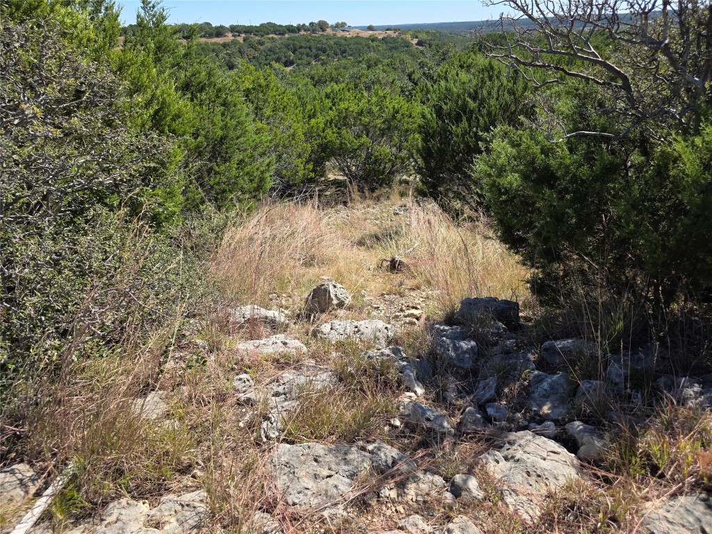 Lot 74 Bluff View Road Kempner, TX 76539 - Photo 3 of 37 a view of a forest with a tree